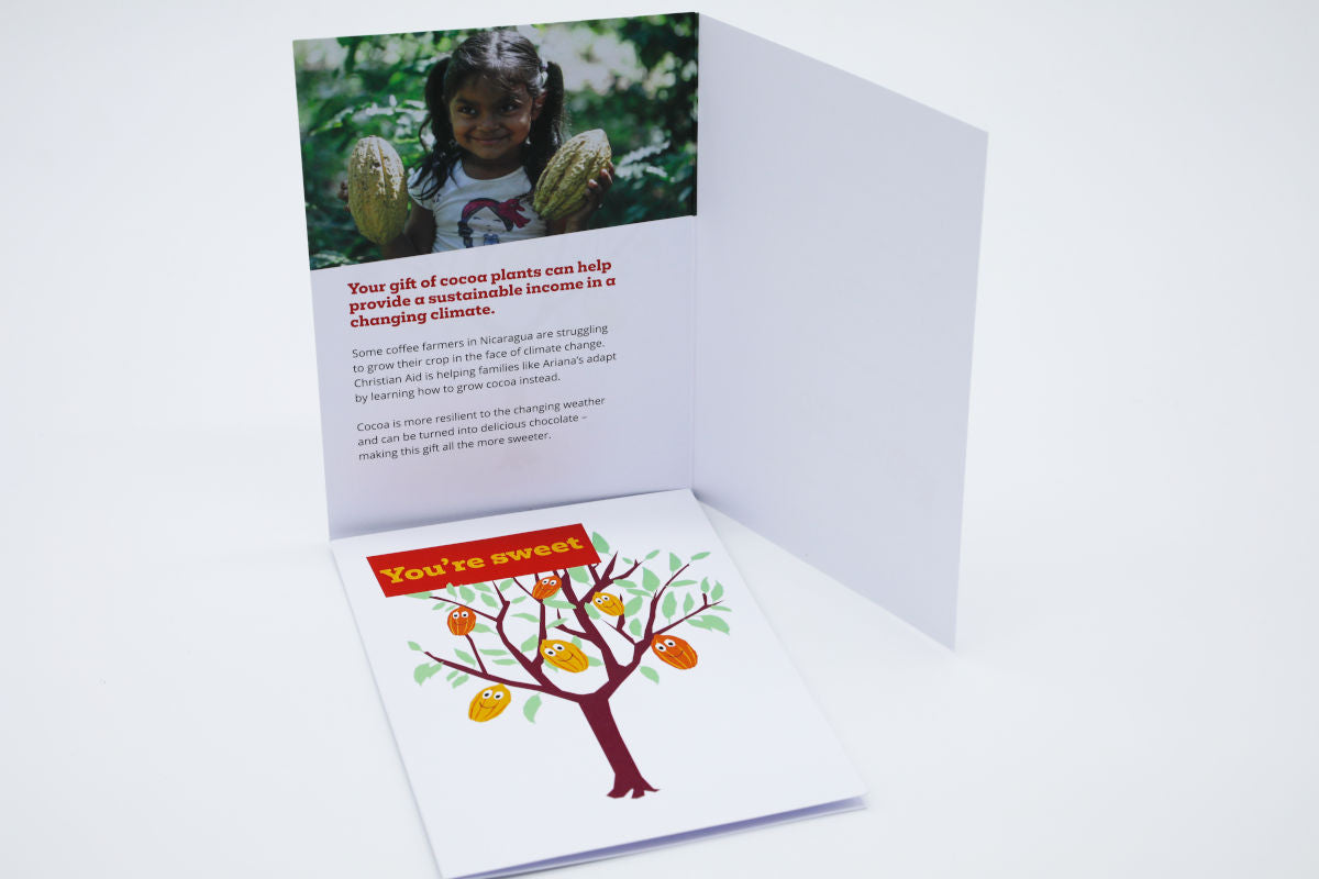 10 Cocoa saplings (E-card)