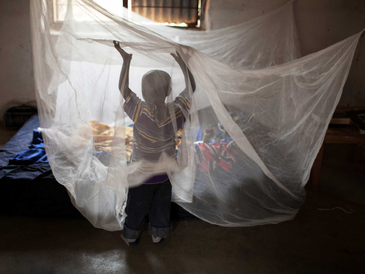 A pack of five mosquito nets (Print at home)
